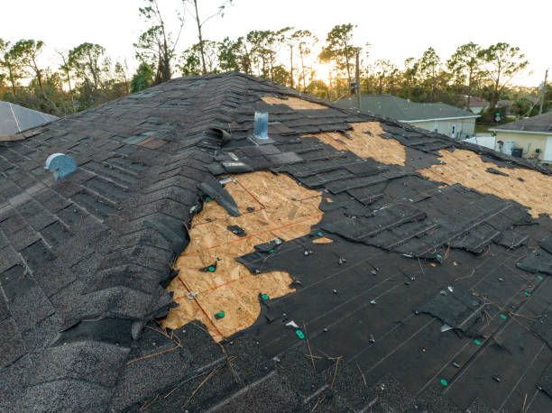 Best Gutter Installation and Repair  in Sallisaw, OK